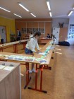 Medailový úspěch v regionální soutěži v poznávání přírodnin
