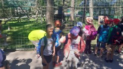 Školní výlet do Zoo Olomouc