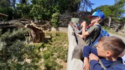 Školní výlet do Zoo Olomouc