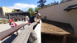 Školní výlet do Zoo Olomouc
