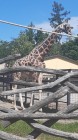 Školní výlet do Zoo Olomouc