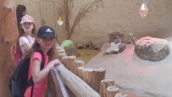 Školní výlet do Zoo Olomouc
