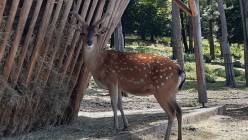Školní výlet do Zoo Olomouc