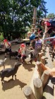 Školní výlet do Zoo Olomouc