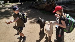 Školní výlet do Zoo Olomouc