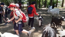 Školní výlet do Zoo Olomouc