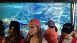 Školní výlet do Zoo Olomouc