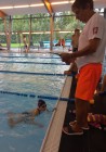 Plavecká štafeta měst 2024 Plavecká štafeta měst 2024