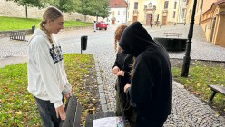 Výstava na stromech opět na Olivetské hoře! Výstava na stromech opět na Olivetské hoře!
