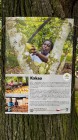 Výstava na stromech opět na Olivetské hoře!