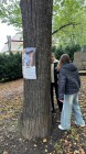 Výstava na stromech opět na Olivetské hoře! Výstava na stromech opět na Olivetské hoře!