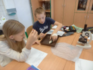 Laboratorní práce v přírodopisu 7. ročníku Laboratorní práce v přírodopisu 7. ročníku
