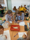 Laboratorní práce v přírodopisu 7. ročníku Laboratorní práce v přírodopisu 7. ročníku