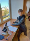 Laboratorní práce v přírodopisu 7. ročníku Laboratorní práce v přírodopisu 7. ročníku