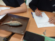 Laboratorní práce v přírodopisu 7. ročníku Laboratorní práce v přírodopisu 7. ročníku