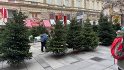 Poznávací zájezd do Vídně Poznávací zájezd do Vídně