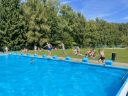 Prázdninová družina na téma "Zvířátka"