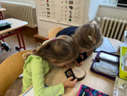 Den stromů