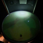 Poznávací zájezd do Anglie