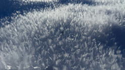 Poznávací zájezd do Německa Poznávací zájezd do Německa