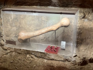 Exkurze deváťáků do Sloupsko-šošůvských jeskyní a do Jaderné elektrárny Dukovany Exkurze deváťáků do Sloupsko-šošůvských jeskyní a do Jaderné elektrárny Dukovany