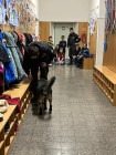 Koumáci a rodiče v akci