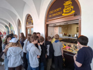 Sběr papíru Sběr papíru