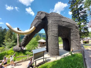 Školní výlet - Dolní Morava