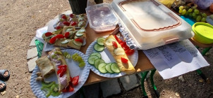 Férový piknik v Klášterních zahradách Férový piknik v Klášterních zahradách