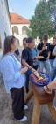 Férový piknik v Klášterních zahradách Férový piknik v Klášterních zahradách