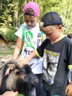 Prázdninová družina II