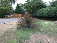 Výlet ZOO Olomouc