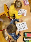 Praxe studentů VOŠP a SPgŠ Litomyšl