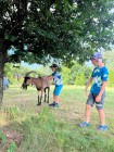 Prázdninová letní družina s Toulíkem