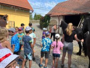 Prázdninová letní družina s Toulíkem