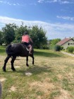 Prázdninová letní družina s Toulíkem