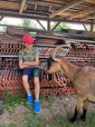 Prázdninová letní družina s Toulíkem