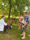 Prázdninová letní družina s Toulíkem