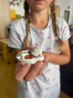 Prázdninová družina "Cesta kolem světa"