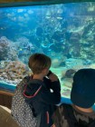 Výlet ZOO Olomouc
