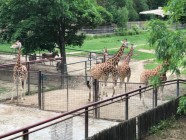 Výlet ZOO Olomouc