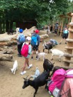 Výlet ZOO Olomouc