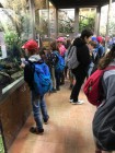 Výlet ZOO Olomouc