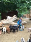 Výlet ZOO Olomouc
