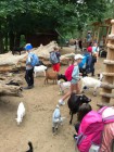 Výlet ZOO Olomouc