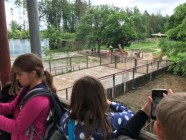 Výlet ZOO Olomouc