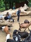 Výlet ZOO Olomouc