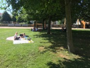 Piknik