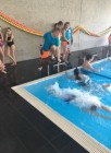 Druhé kolo Plavecké ligy škol