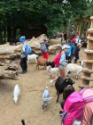 Výlet ZOO Olomouc